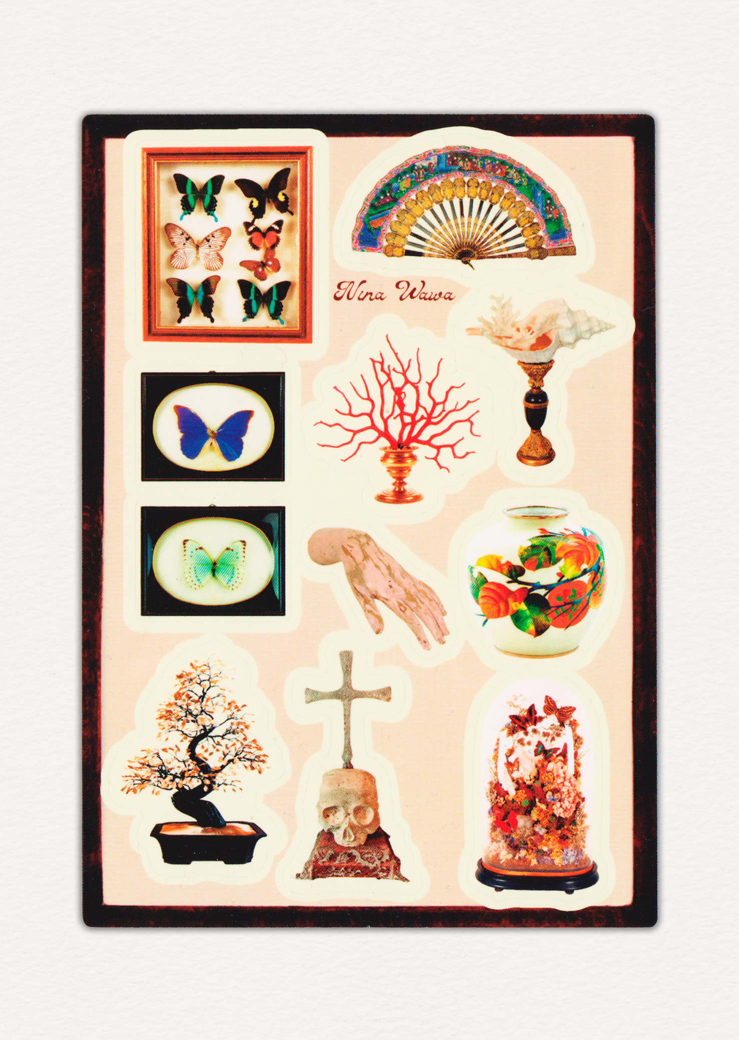Cabinet de Curiosités